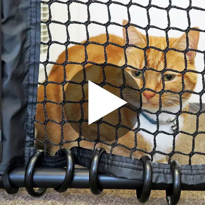 Front door cat barrier shop